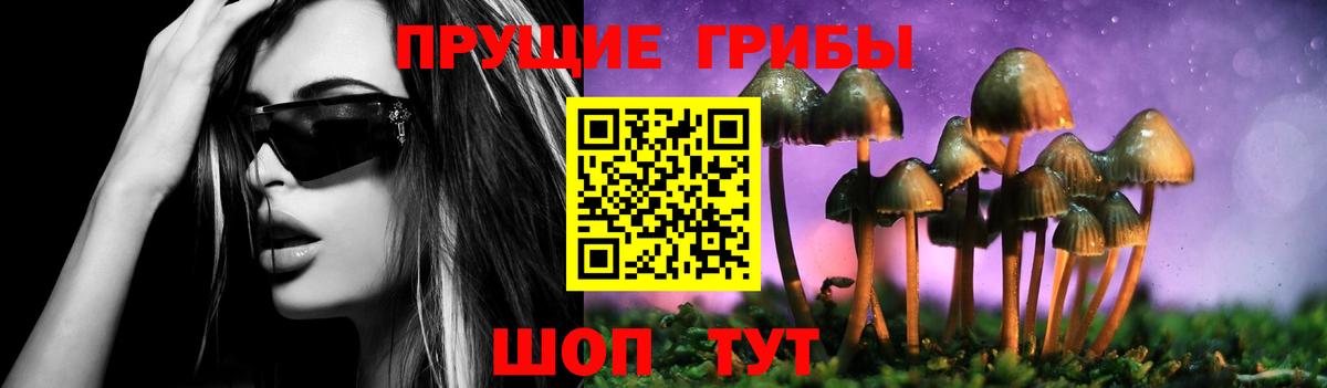 Псилоцибиновые грибы мицелий  Вход с VPN  Родники 